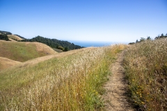 Mount Tamalpais, Marin County, California — coastal mountain landscape with Pacific Ocean views