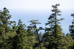 Mount Tamalpais, Marin County, California — coastal mountain landscape with Pacific Ocean views