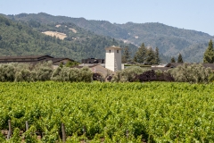 Napa Valley Wine Train Napa Valley Wine Train