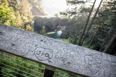 Natural Bridges near Brookings, Oregon — rock formations along the Pacific Ocean