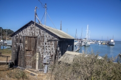 Point San Pablo Harbor, California — quirky waterfront with boat docks, art installations, and Bay views