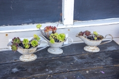 Point San Pablo Harbor, California — quirky waterfront with boat docks, art installations, and Bay views