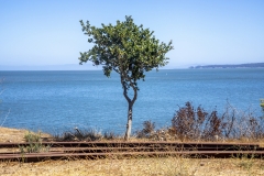 Point San Pablo Harbor, California — quirky waterfront with boat docks, art installations, and Bay views
