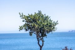 Point San Pablo Harbor, California — quirky waterfront with boat docks, art installations, and Bay views