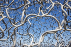 Point San Pablo Harbor, California — quirky waterfront with boat docks, art installations, and Bay views