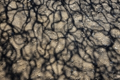 Point San Pablo Harbor, California — quirky waterfront with boat docks, art installations, and Bay views