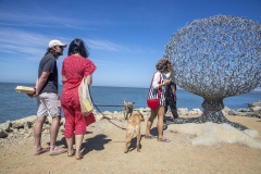 Point San Pablo Harbor, California — quirky waterfront with boat docks, art installations, and Bay views