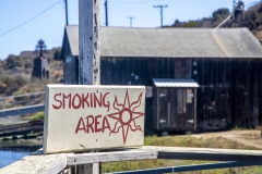 Point San Pablo Harbor, California — quirky waterfront with boat docks, art installations, and Bay views