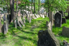 Prague Jewish Cemetery