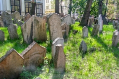 Prague Jewish Cemetery