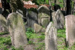 Prague Jewish Cemetery