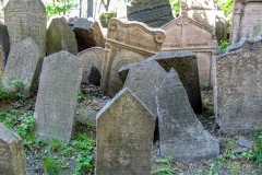 Prague Jewish Cemetery