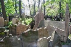 Prague Jewish Cemetery