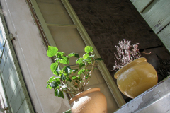 Shutters In Arles