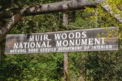 Muir Woods