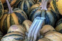 Pumpkin