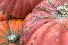 Squash