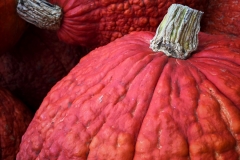 Squash