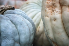 Squash
