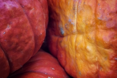 Squash