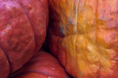 Squash