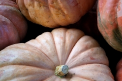 Squash