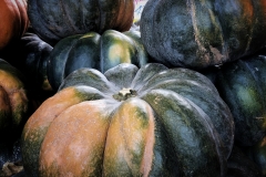 Squash