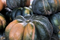 Squash