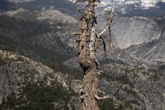 Panoramic views from Glacier Point overlooking Yosemite Valley, including Half Dome and waterfalls.