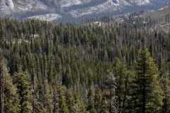 Panoramic views from Glacier Point overlooking Yosemite Valley, including Half Dome and waterfalls.