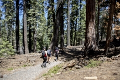 Panoramic views from Glacier Point overlooking Yosemite Valley, including Half Dome and waterfalls.