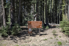 Spring landscape of Yosemite Valley with waterfalls, trees, and granite cliffs in California.