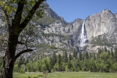 Spring landscape of Yosemite Valley with waterfalls, trees, and granite cliffs in California. 