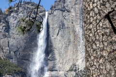 Spring landscape of Yosemite Valley with waterfalls, trees, and granite cliffs in California. 