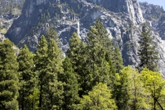 Spring landscape of Yosemite Valley with waterfalls, trees, and granite cliffs in California. 