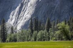 Spring landscape of Yosemite Valley with waterfalls, trees, and granite cliffs in California. 