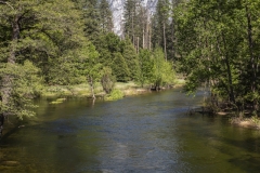 Spring landscape of Yosemite Valley with waterfalls, trees, and granite cliffs in California. 