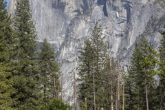 Spring landscape of Yosemite Valley with waterfalls, trees, and granite cliffs in California. 