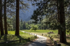 Spring landscape of Yosemite Valley with waterfalls, trees, and granite cliffs in California. 