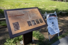 Spring landscape of Yosemite Valley with waterfalls, trees, and granite cliffs in California. 