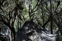 Spring landscape of Yosemite Valley with waterfalls, trees, and granite cliffs in California.