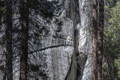 Spring landscape of Yosemite Valley with waterfalls, trees, and granite cliffs in California.