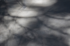 Spring landscape of Yosemite Valley with waterfalls, trees, and granite cliffs in California.