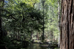Spring landscape of Yosemite Valley with waterfalls, trees, and granite cliffs in California.