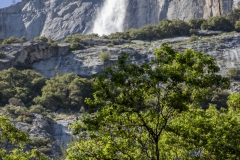 Spring landscape of Yosemite Valley with waterfalls, trees, and granite cliffs in California.