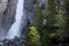 Spring landscape of Yosemite Valley with waterfalls, trees, and granite cliffs in California.