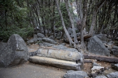 Spring landscape of Yosemite Valley with waterfalls, trees, and granite cliffs in California.