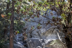 Spring landscape of Yosemite Valley with waterfalls, trees, and granite cliffs in California.