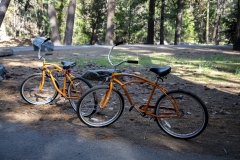 Spring landscape of Yosemite Valley with waterfalls, trees, and granite cliffs in California.