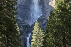 Spring landscape of Yosemite Valley with waterfalls, trees, and granite cliffs in California.Yosemite Falls in Yosemite Valley
